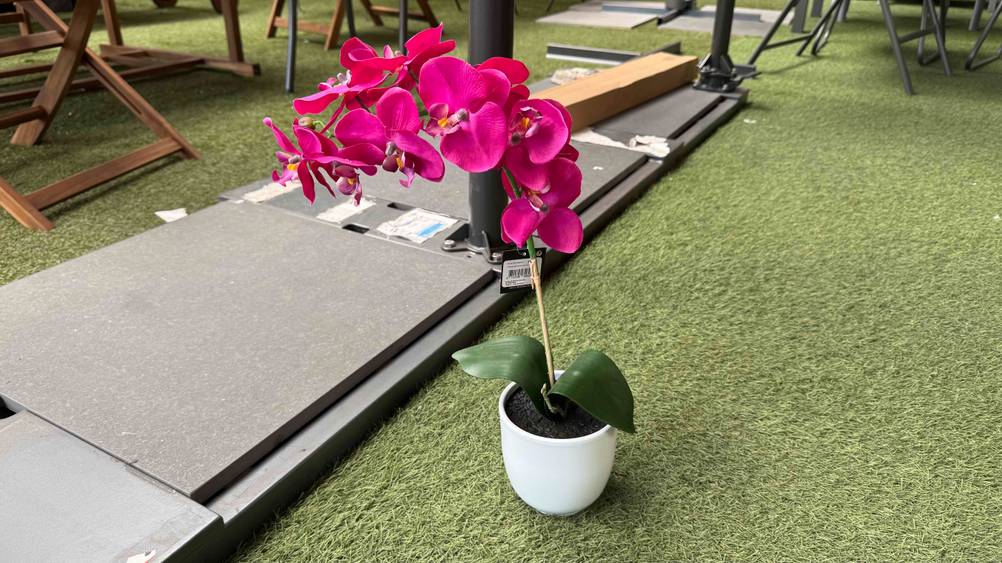 Künstliche Orchidee getestet: Ein Topf auf einem Kunstrasen mit einer pinken Orchidee.