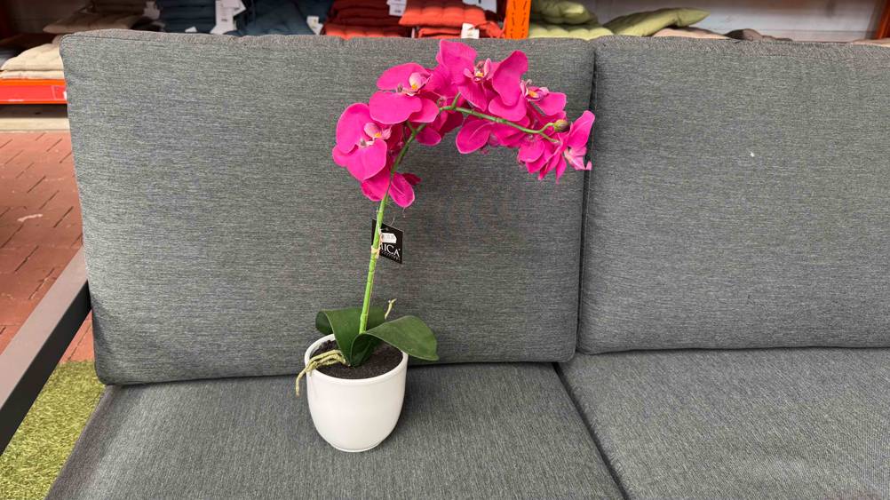 Künstliche Orchidee-Test: Die Pflanze auf einer grauen Couch stehend.