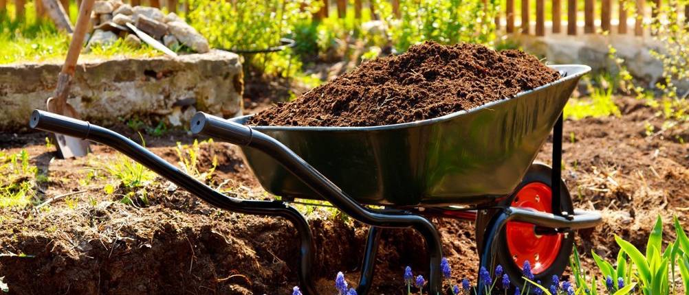 beste gartenhaus kunststoff kaufen