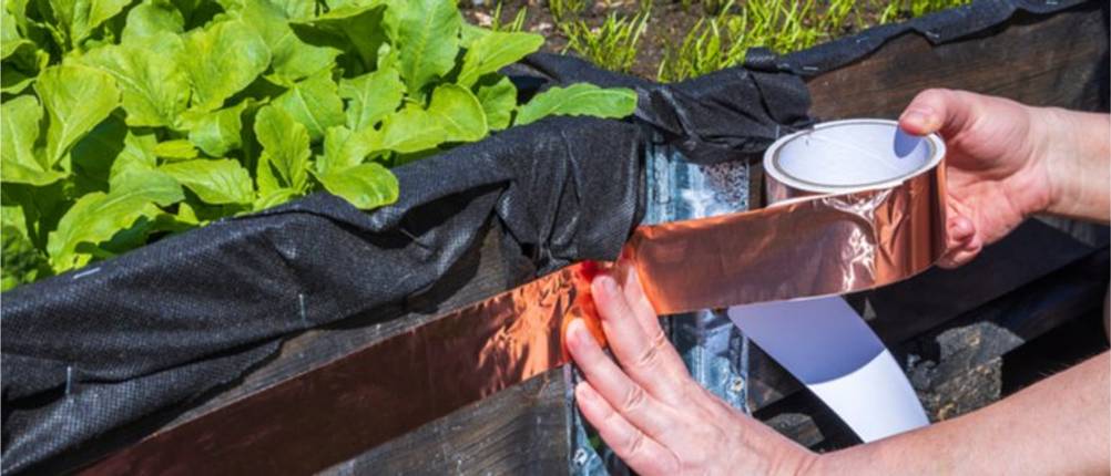 Kupferband-Test: Hochbeet wird mit Kupferfolie abgeklebt