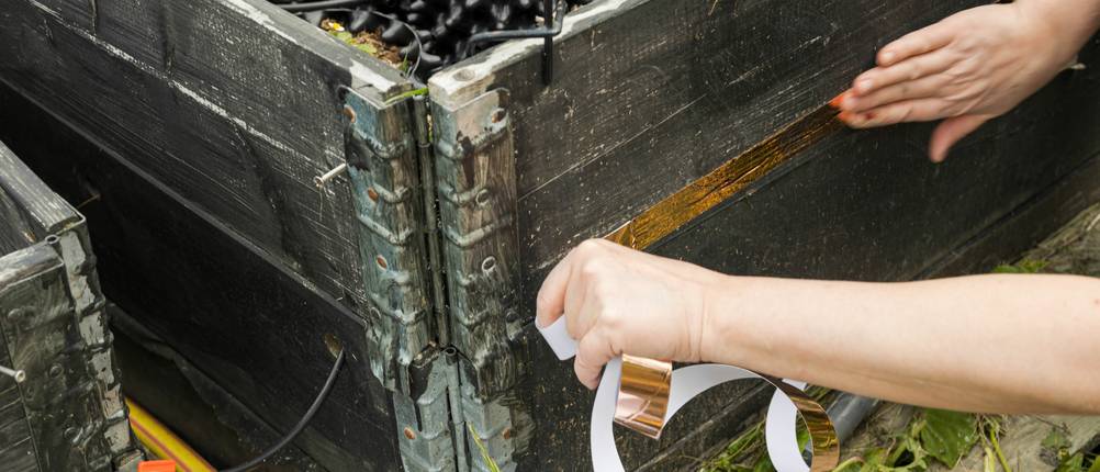 Kupferband-Test: Mann klebt Kupferband an Hochbeet