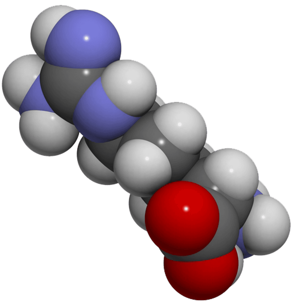 l-arginin lebensmittel