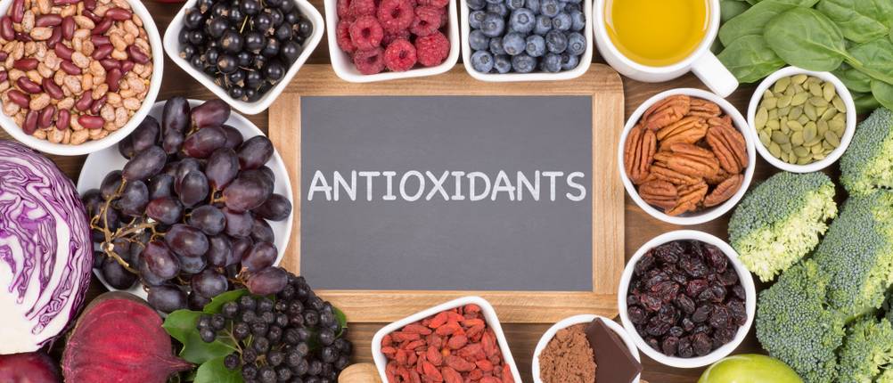 antioxidant l carnosin