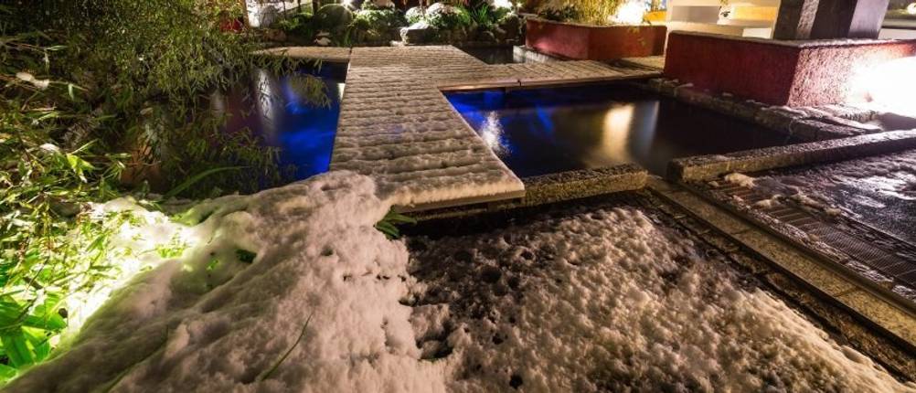 Ein Teich im Garten ist mit einem Holzweg bedeckt, in dem ein Eisfreihalter getestet wird.