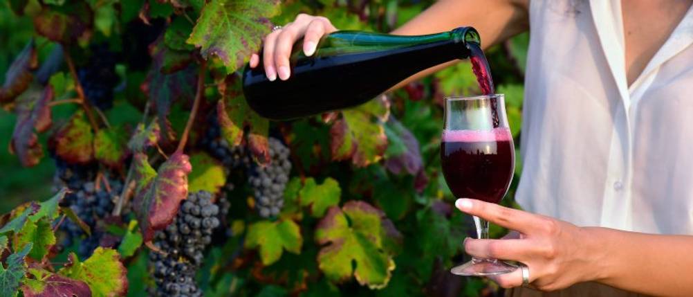 Lambrusco-Test