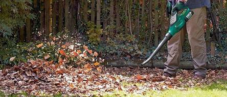 Laubbeseitigung im heimischen Garten
