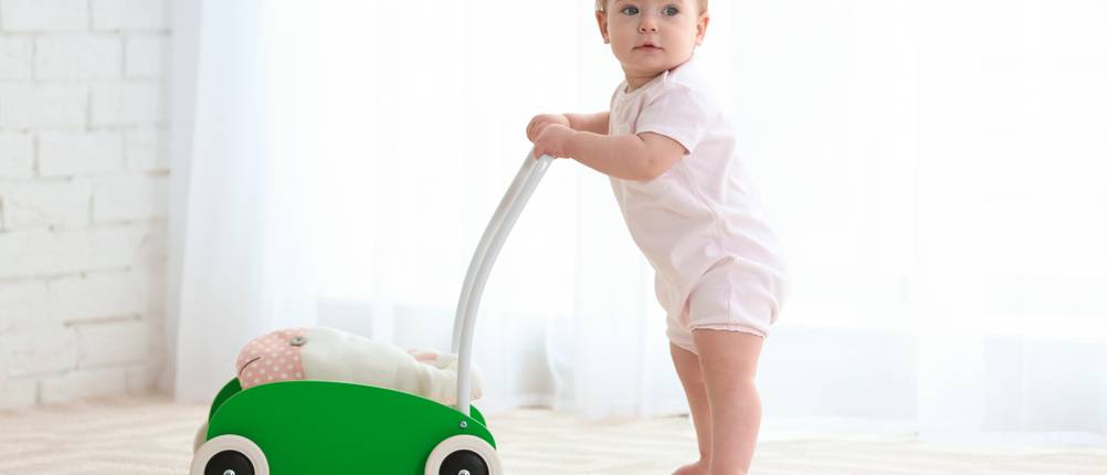 Lauflernwagen-mit-Bremse-Test