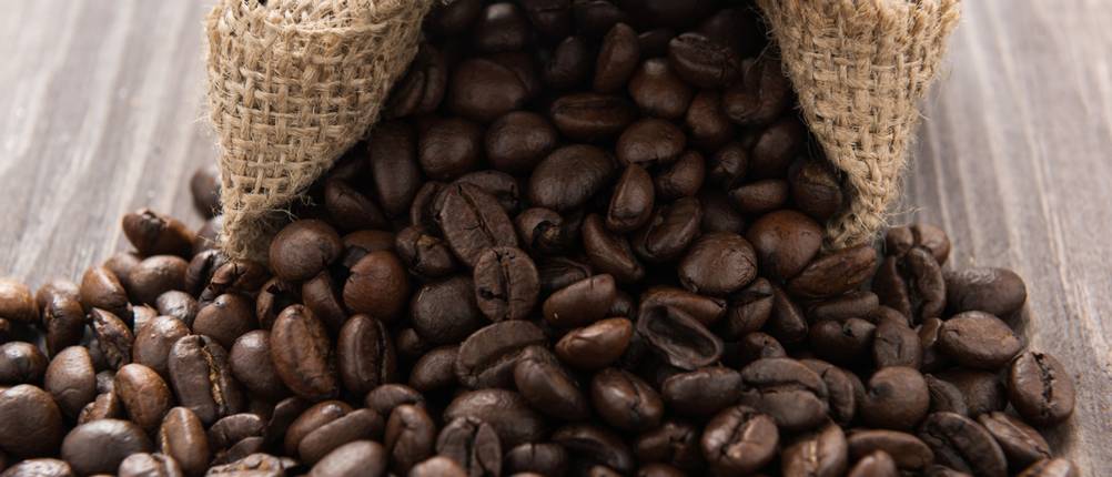 lebensbaum kaffee test