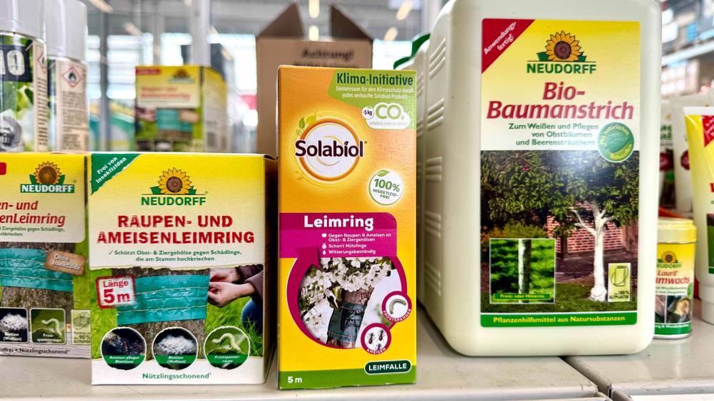 Eine Packung des getesteten Leimrings in einem Verkaufsregal neben anderen Produkten.