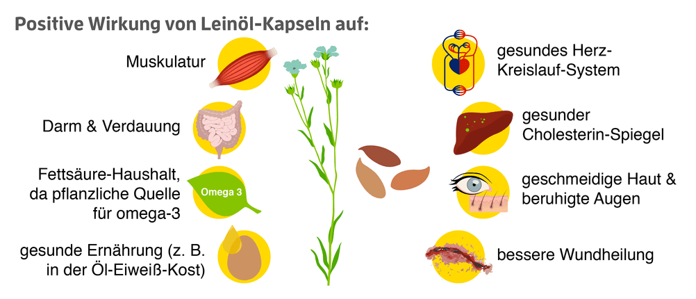 gesunde wirkung von leinöl kapseln