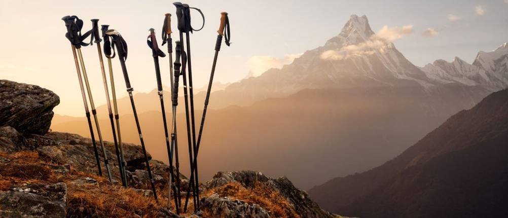 leki-wanderstöcke-test