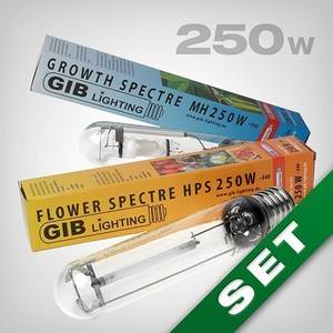 growbox leuchtmittel
