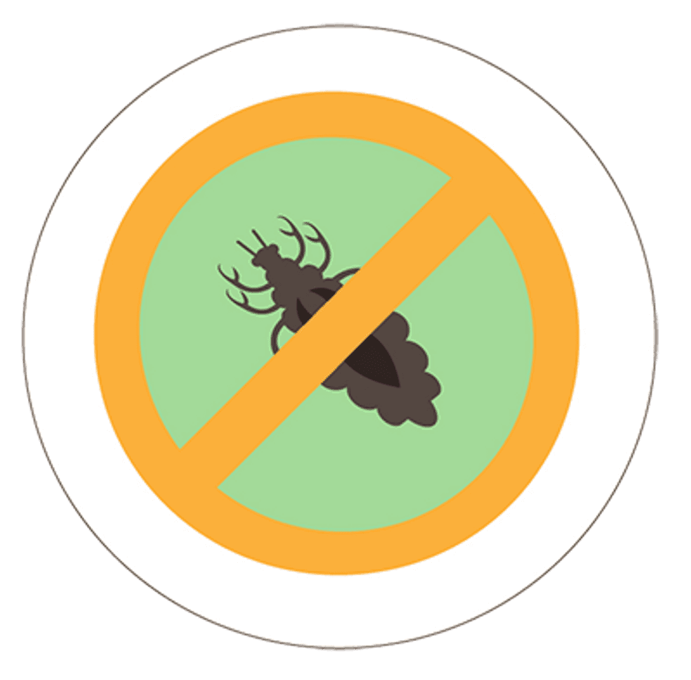 lice