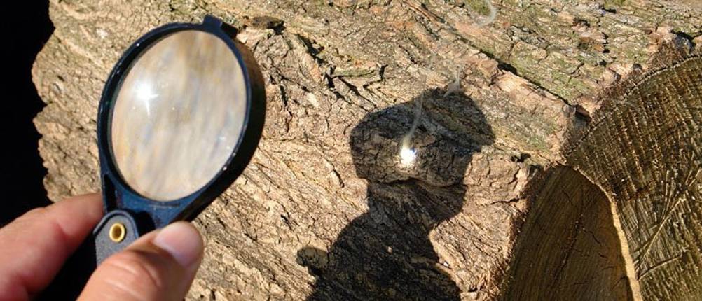 Licht bündeln laser hitze