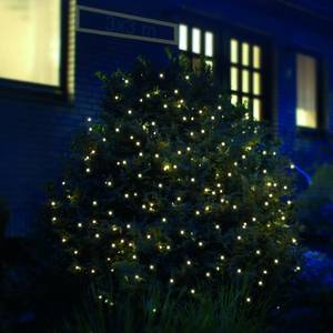 Lichterkette-Test: Eine Lichterkette ist um einen Busch vor einem Haus gewickelt.