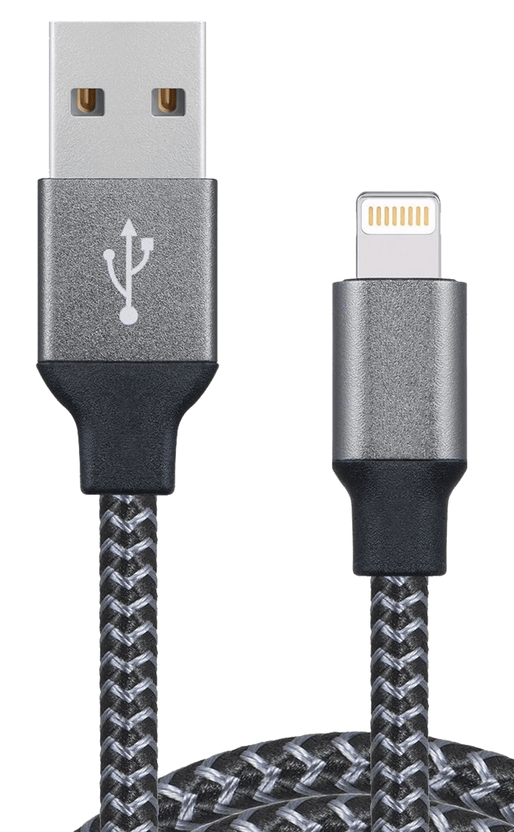 Lightning-Stecker, Beispielbild