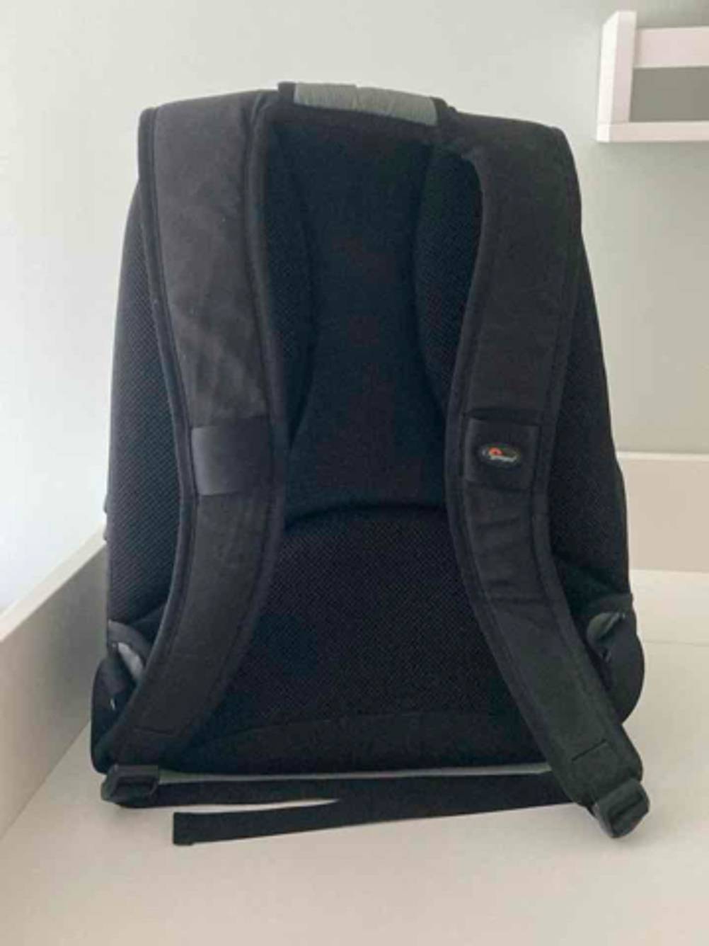 Rückseite mit Tragegurten eines Lowepro-Fotorucksacks im Test.