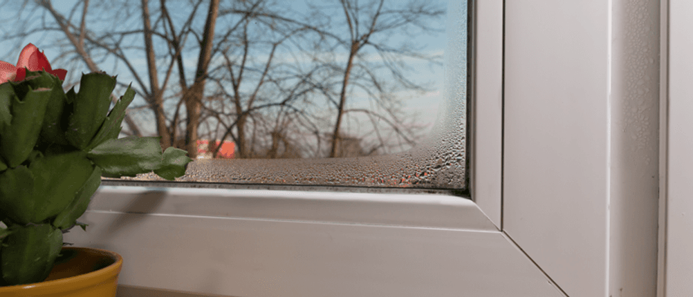 Luftentfeuchter Test Fenster Kondenswasser