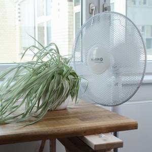 Sencor Ventilator pustet die Blätter eine Büropflanze zur Seite