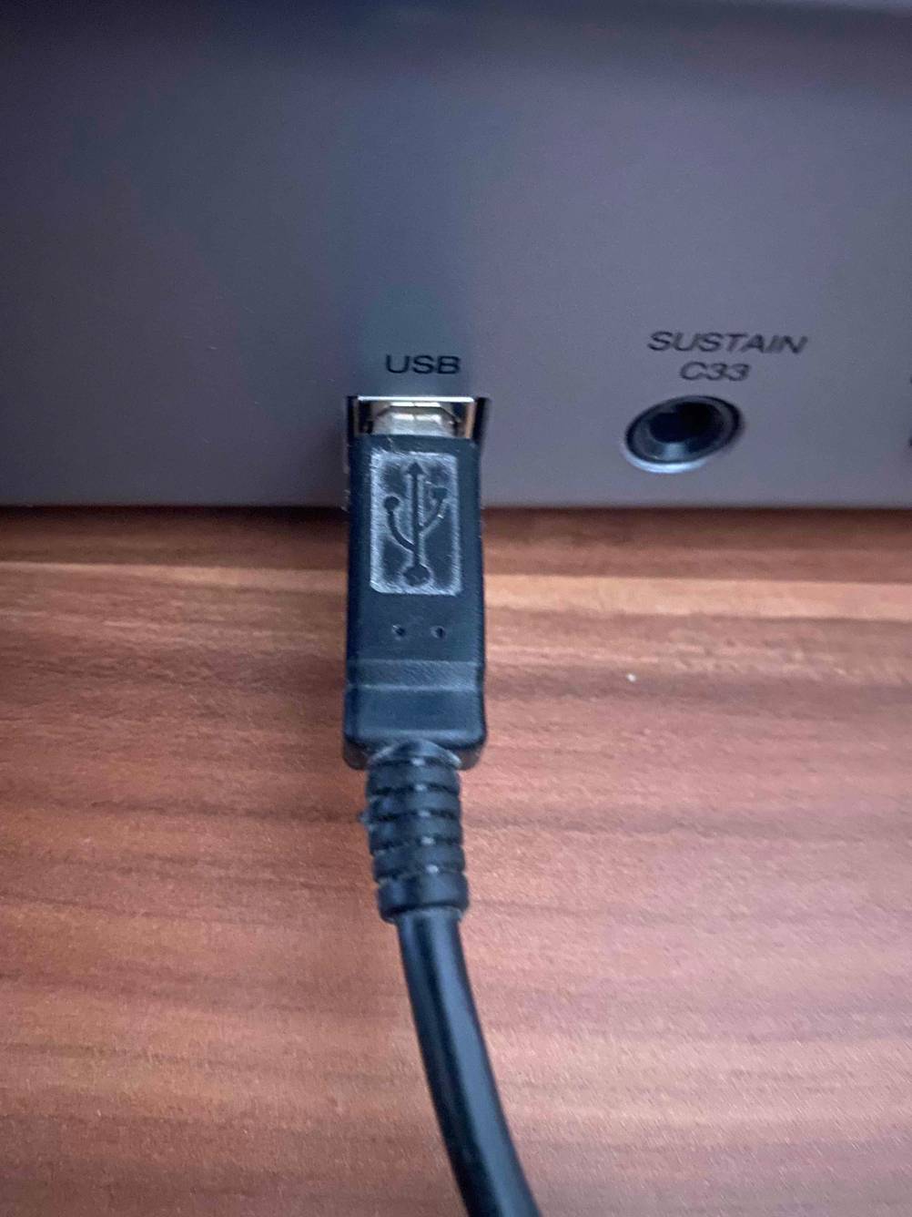 Der USB-Anschluss des Midi-Keyboards von M-Audio