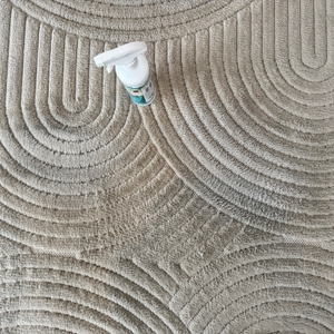 Macari-Polsterreiniger steht auf einem Teppich, der zuvor gereinigt wurde. Es sind leichte Aufhellungen zu erkennen.