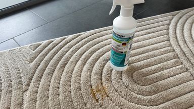 Teppichreiniger Test 2026 – Für hygienisch saubere Fasern
