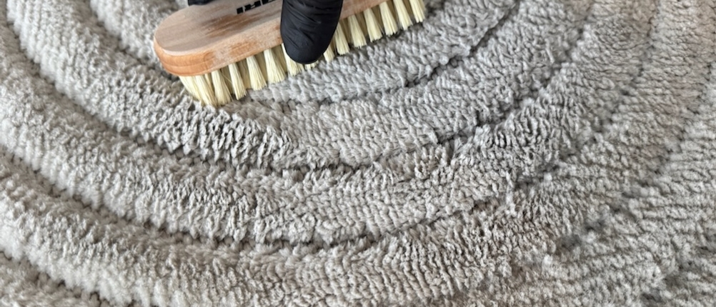 Macari-Polsterreiniger wird mit einer Bürste auf einem Teppich eingerieben.