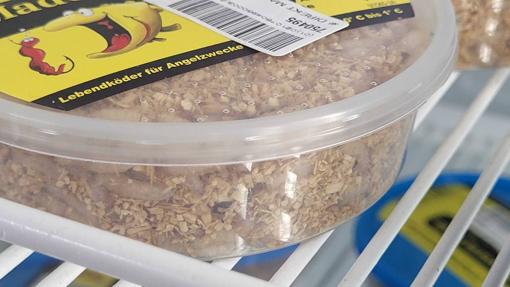 Detailansicht des Inhalts einer Dose getestete Angelköder.