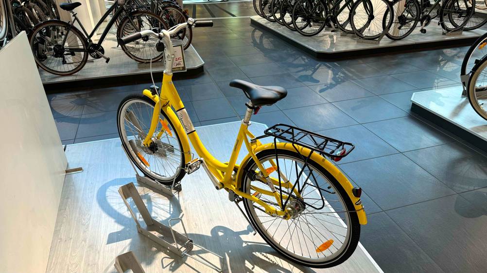 Im Test: Ein Mädchenfahrrad 26 Zoll von schräg hinten auf einer Erhöhung in einer Verkaufsausstellung.