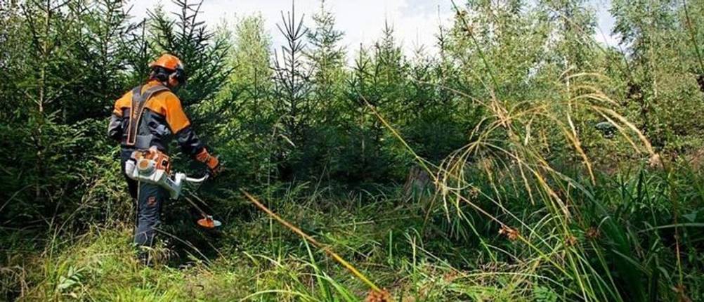 Freischneider von Stihl mit Freischneidefaden