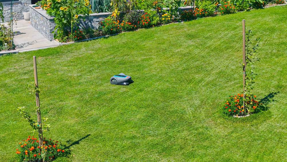 Ein Mähroboter mäht einen großen Garten.