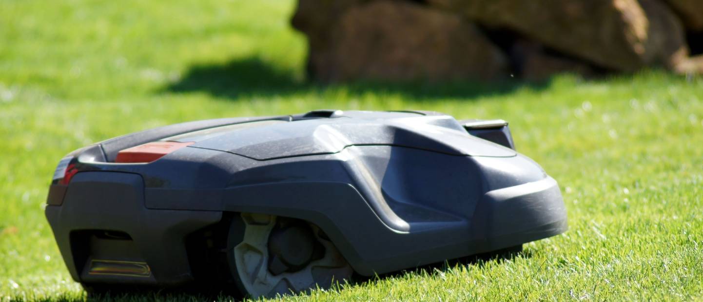 Mähroboter ohne Begrenzungskabel Top 10 Test & Vergleich
