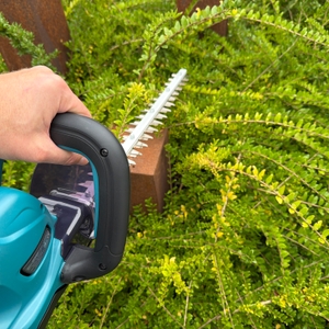Eine Hecke wird mit der Makita DUH507Z geschnitten