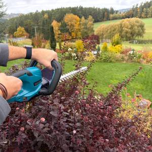 Ein Strauch wird mit der Makita DUH507Z geschnitten