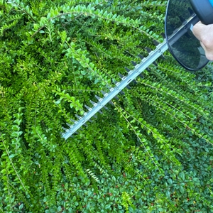 Mit der Makita DUH523Z werden Sträucher geschnitten.