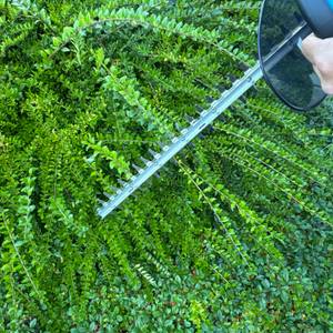 Mit der Makita DUH523Z werden Sträucher geschnitten.