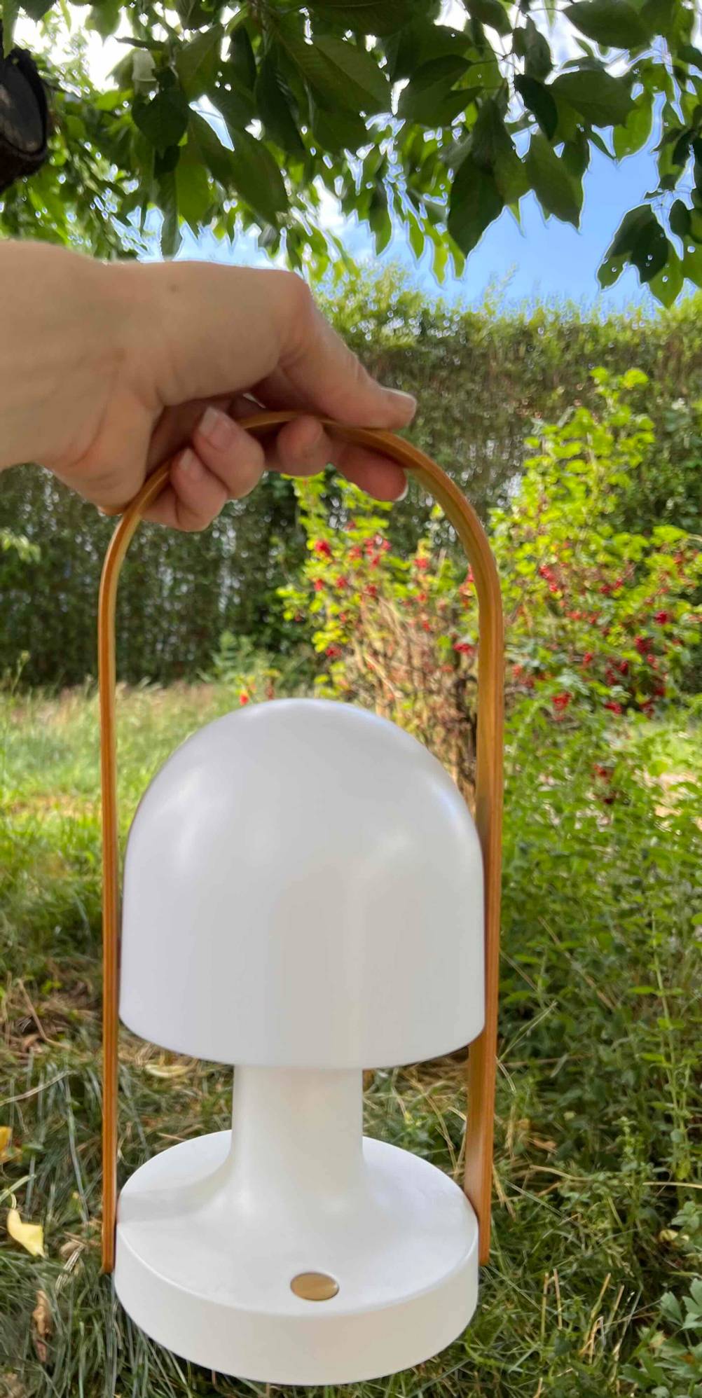 Getestet: Hand hält eine Gartenleuchte, Ansicht des oberen Teils, im Hintergrund der Garten.