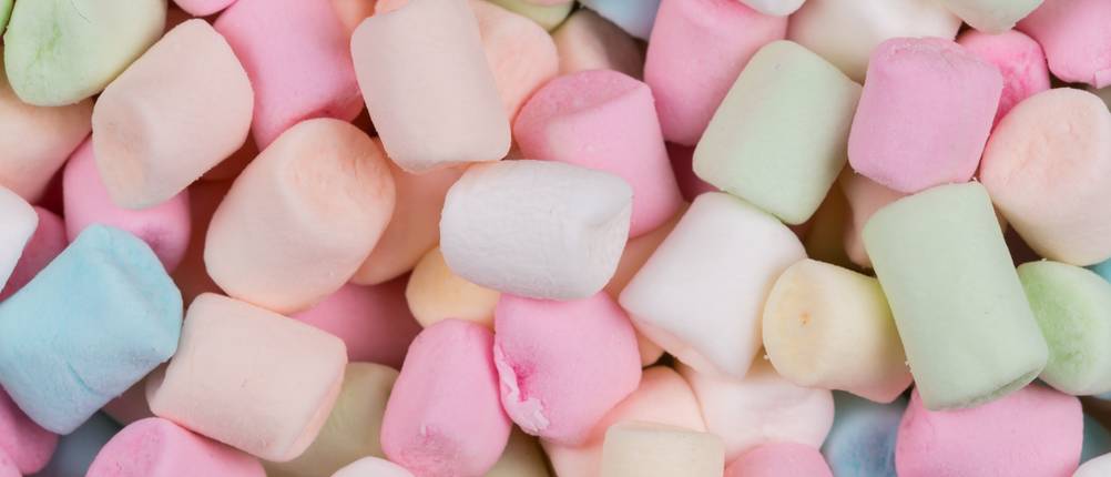 marshmallows test
