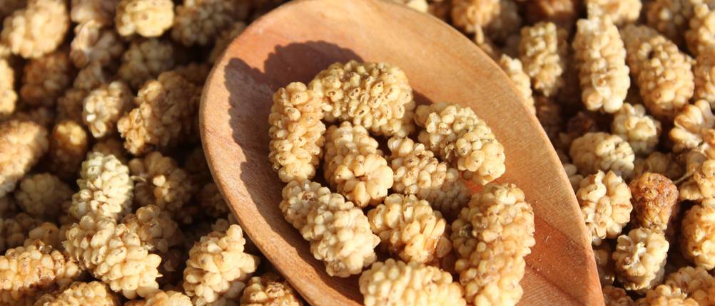 Maulbeeren-getrocknet-Test