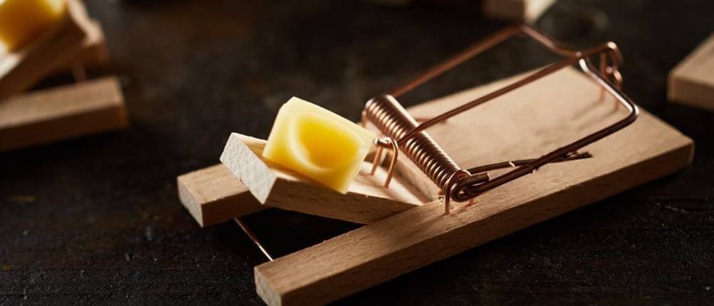 Mausefalle-Schlagfalle-Test