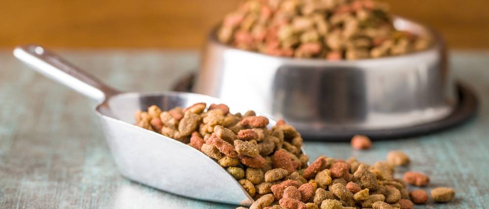 Mera-Hundefutter-Test