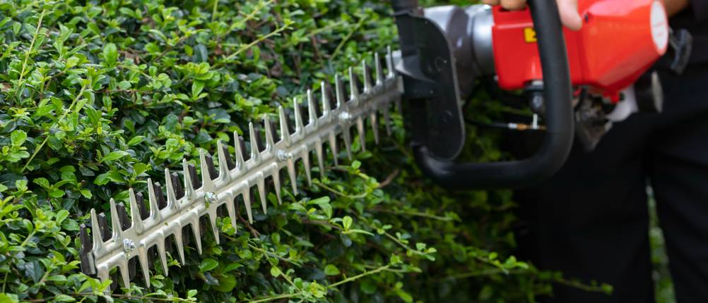 metabo-heckenschere-test