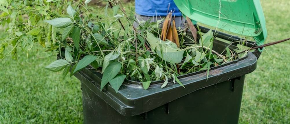 Metall-Komposter getestet: Eine Bio-Abfalltonne mit grünen Gartenabfällen in Großaufnahme.