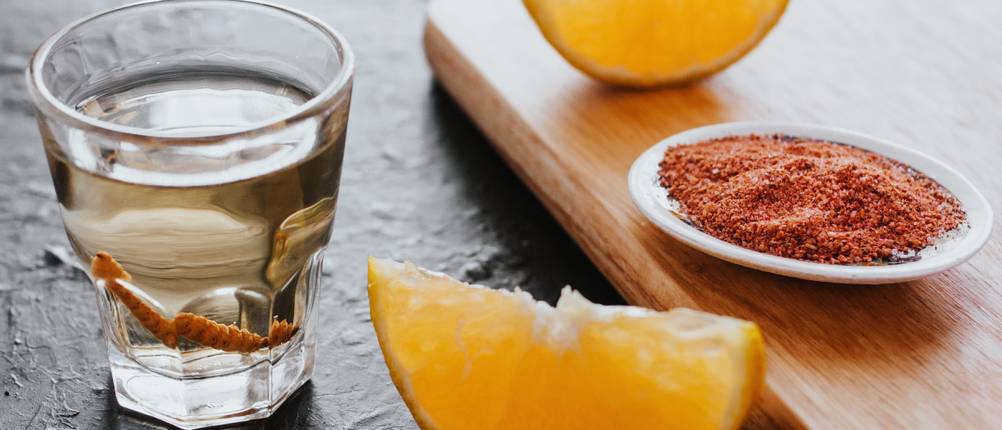 Mezcal-Test