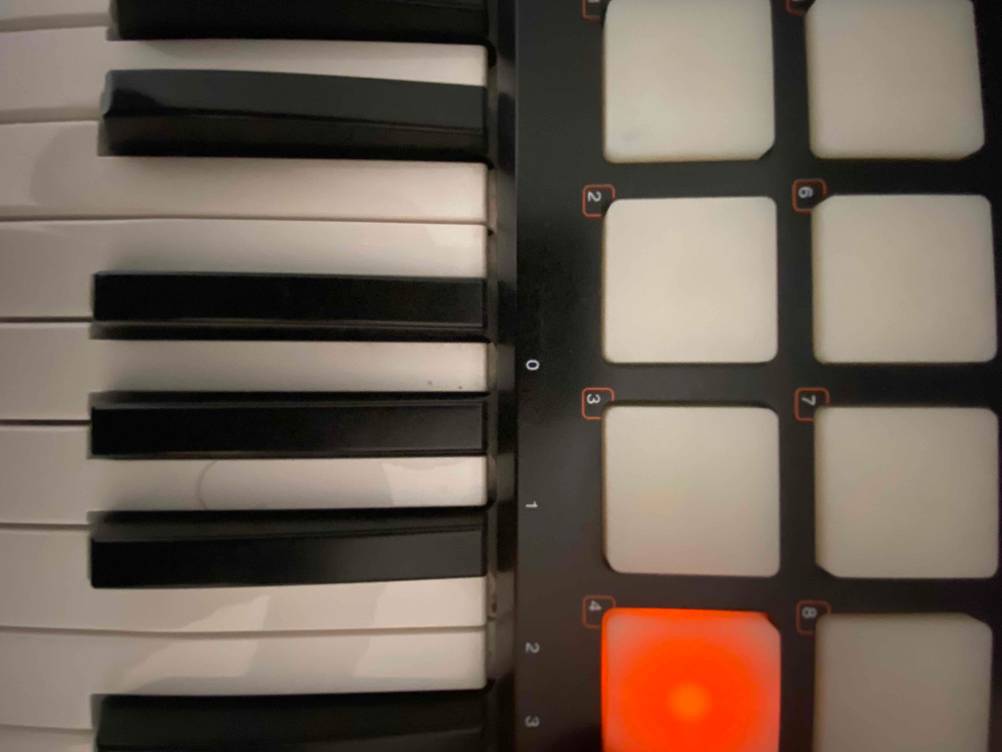 Im Test: Nahaufnahme der Bedienelemente über der Tastatur eines Midi-Keyboards.