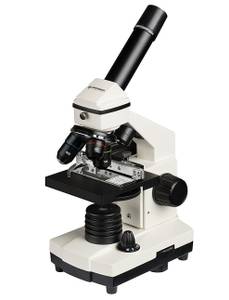 Mikroskop für Jugendliche und Erwachsene