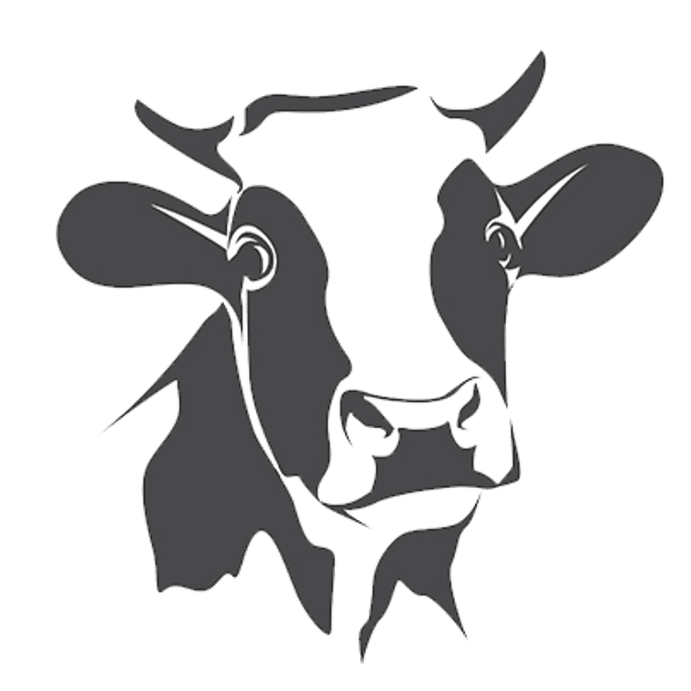 milch-gesundheit