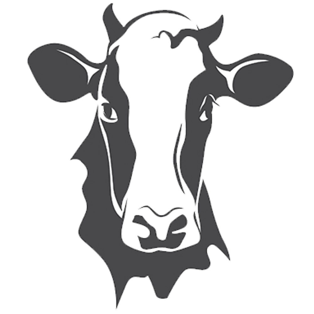 milch-ungesund