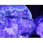 UV-Taschenlampe forensische Verwendung