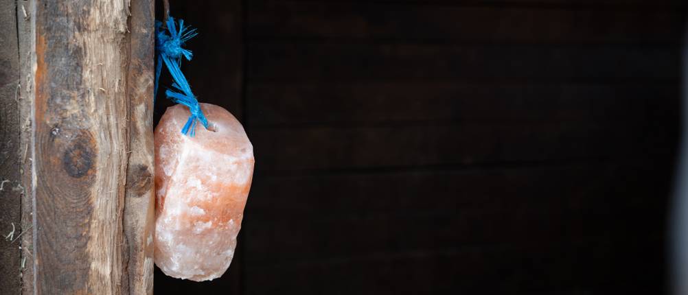 Mineralleckstein-Pferd-Test